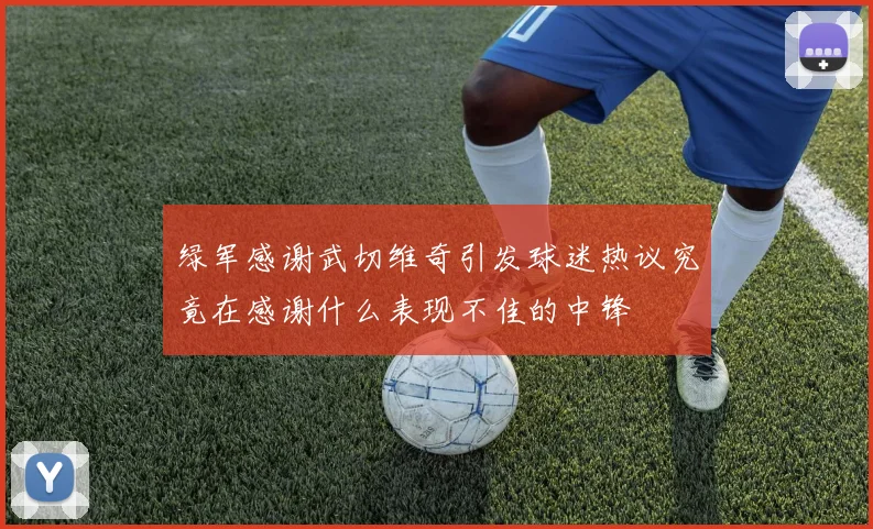 绿军感谢武切维奇引发球迷热议究竟在感谢什么表现不佳的中锋